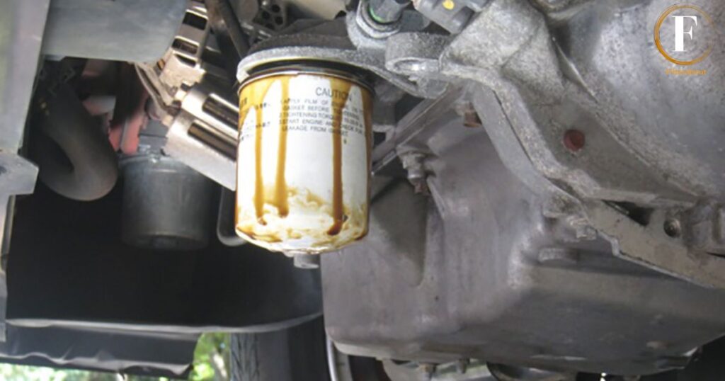 Right Size Oil Filter