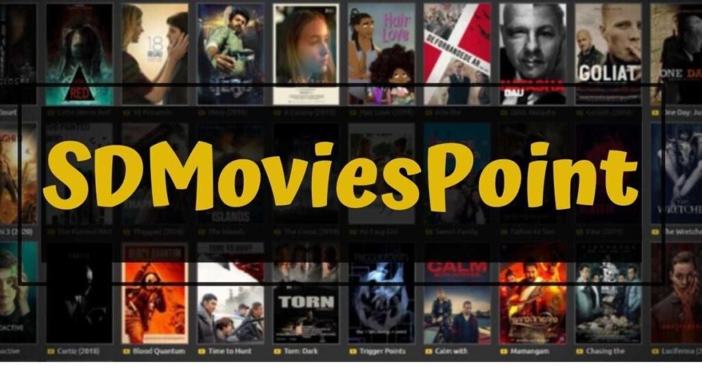 How To Access Sdmoviespoint2